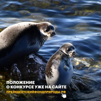Саратовцев приглашают принять участие в конкурсе экологических и природоохранных проектов