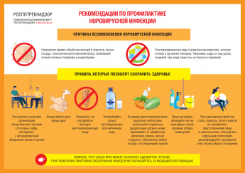 Рекомендации Роспотребнадзора по норовирусной инфекции