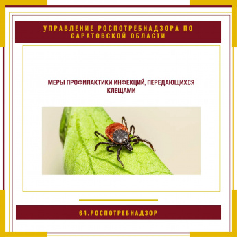 Меры профилактики инфекций, передающихся клещами
