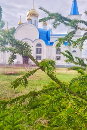 Поздравление с Вербным воскресеньем