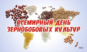 10 февраля ежегодно отмечается Всемирный день зернобобовых по решению ООН