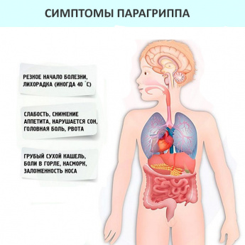 О профилактике парагриппа