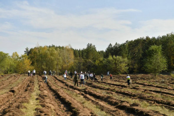 Губернатор Саратовской области Роман Бусаргин предложил при высадке новых лесов делать памятные места, посвященные героям-участникам СВО