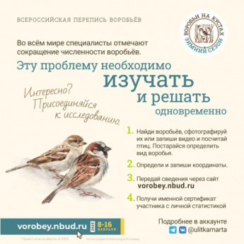 Акция "Воробьи на кустах" стартует с 8 февраля 2025 года