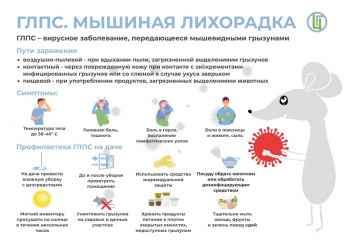 Жителям Краснопартизанского района напоминают о мерах профилактики ГЛПС