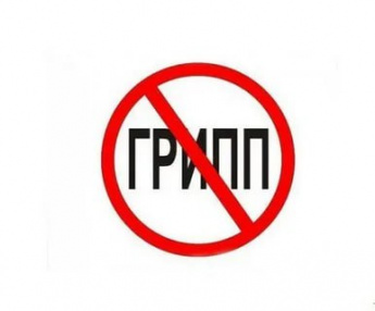 Все сообщения о выявлении гриппа птиц в Краснопартизанском районе Саратовской области являются ложной информацией