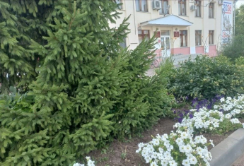 Доброе утро, уважаемые подписчики!  