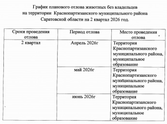 Вниманию владельцев собак!