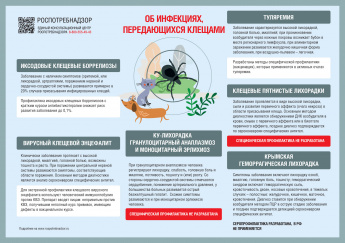 Об инфекциях, передающихся клещами