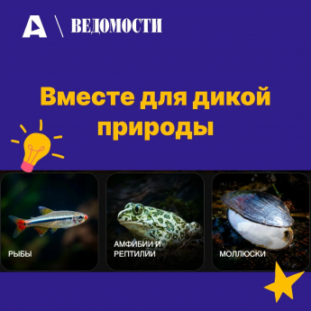 Амурский тигр, снежный барс, краснокнижный журавль… А кого бы выбрали вы?