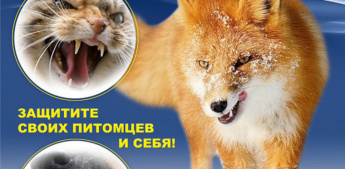 Профилактика бешенства