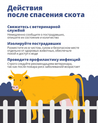 Время обезопасить животных от пожаров