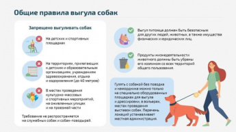 Федеральный закон № 498-ФЗ «Об ответственном обращении с животными и о внесении изменений в отдельные законодательные акты Российской Федерации» регулирует обращение с животными, включая их содержание