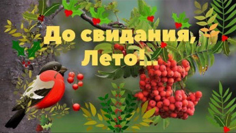 Последняя неделя лета. Как сохранить воспоминания?