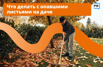 Рассказываем, как распорядиться дачной листвой с умом 