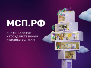 О работе Цифровой платформы МСП. РФ